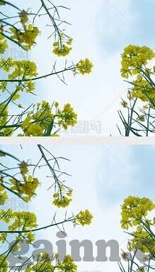 91麻豆美女视频-91麻豆美女视频，网络视频文化的多元透视