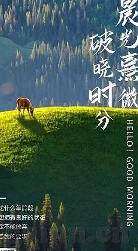 成人激情视频网站-成人激情视频网站，网络文化中的一面镜子