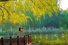 国产av中国av学生日韩av-国产与全球影视文化的交汇，多元视角下的AV文化探索