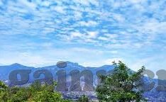 何苗果冻传媒-探索何苗果冻传媒，创新与娱乐的甜蜜交汇