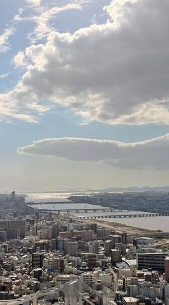 加藤鹰秘技传授全集中文字幕-探索加藤鹰秘技，传承与领悟的奥秘