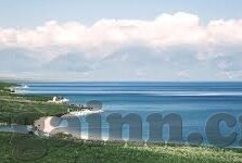 麻豆国产精品无码视频-国产影视艺术的独特魅力与文化探索