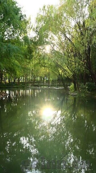 糖心vlog污下载安装-探索网络趣味，与糖心Vlog的现代互动体验之旅