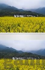 亚洲一区二区三区四区在线-探索亚洲文化与地域特色的多元视角